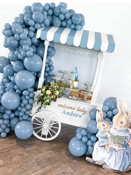 Peter Rabbit Baby Shower